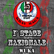 1-stage-wuka-krav-maga-lombardia