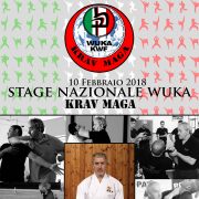 Rony-Klueger_copertina-evento-krav-maga-lombardia