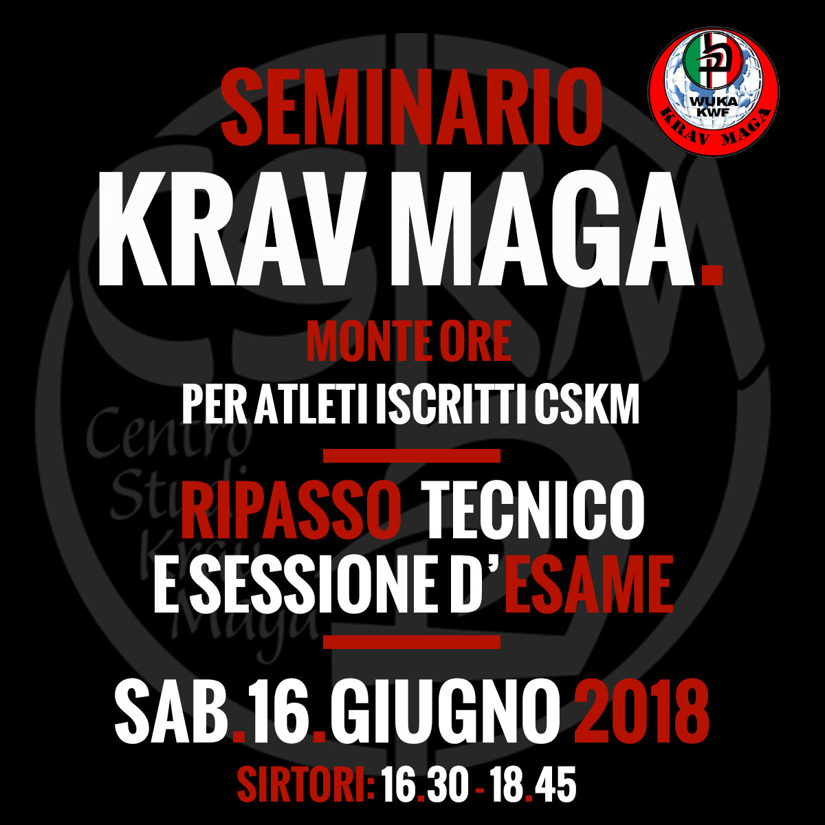 allenamento-krav-maga-difesa-personale-lecco