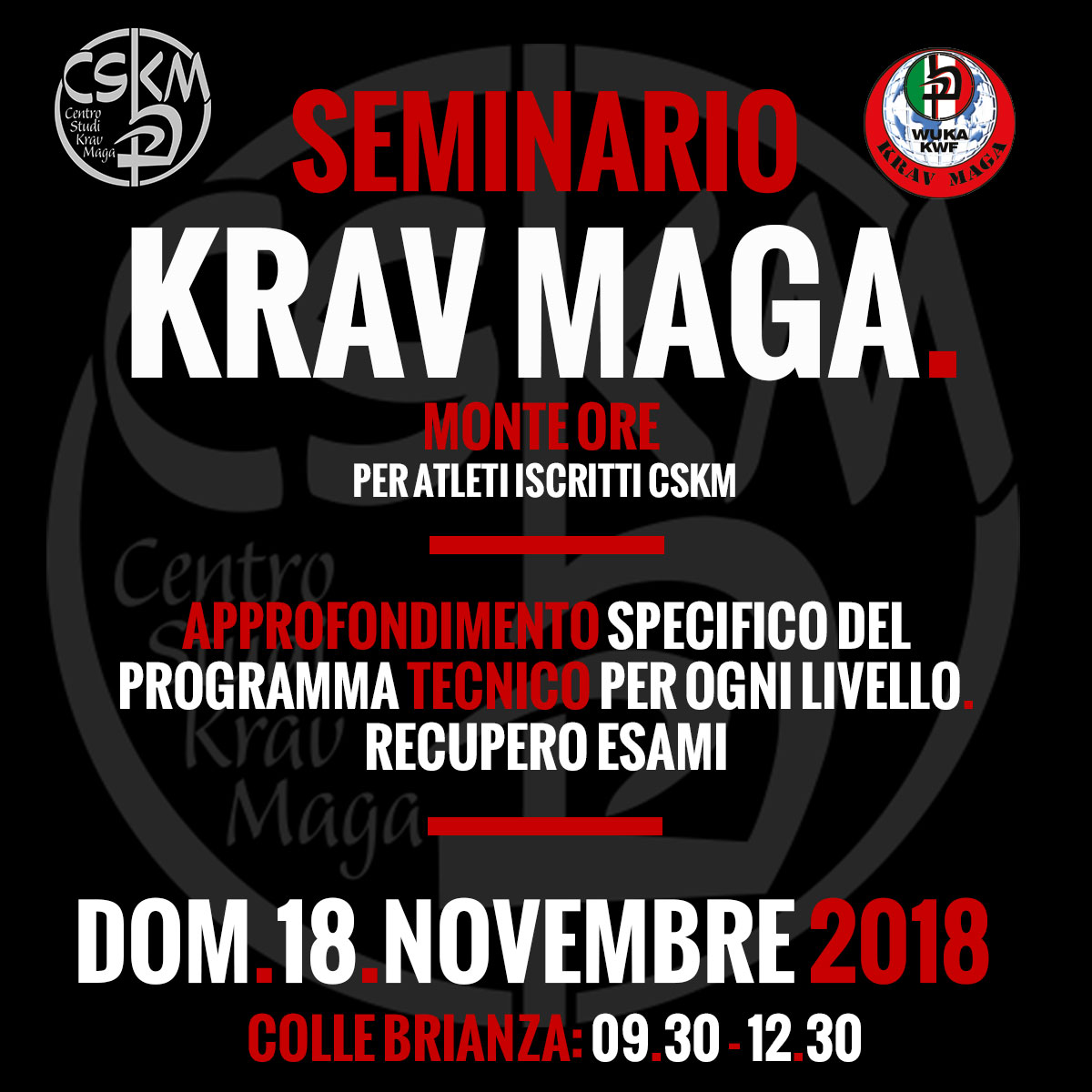 seminario monteore difesa personale krav maga  palestra colle di brianza lecco 